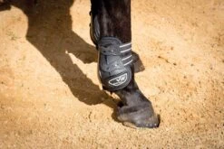 Partrade Trading Corporation Ventex 22 Pro Master Air High Fetlock Boots