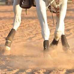 Cheap Rider Essentials Store -Cheap Rider Essentials Store PT100 PT201 image